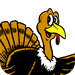TicPac Holiday